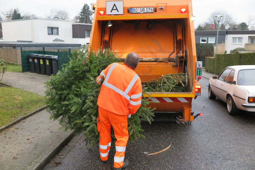 ein Mann hebt einen Tannenbaum in einen Müllwagen
