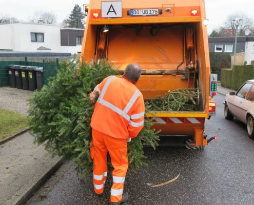 ein Mann hebt einen Tannenbaum in einen Müllwagen