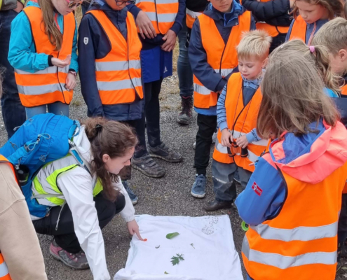 Kinder in orange gekleidet schauen sich pflanzen und Kleintiere an, die ihnen gezeigt werden
