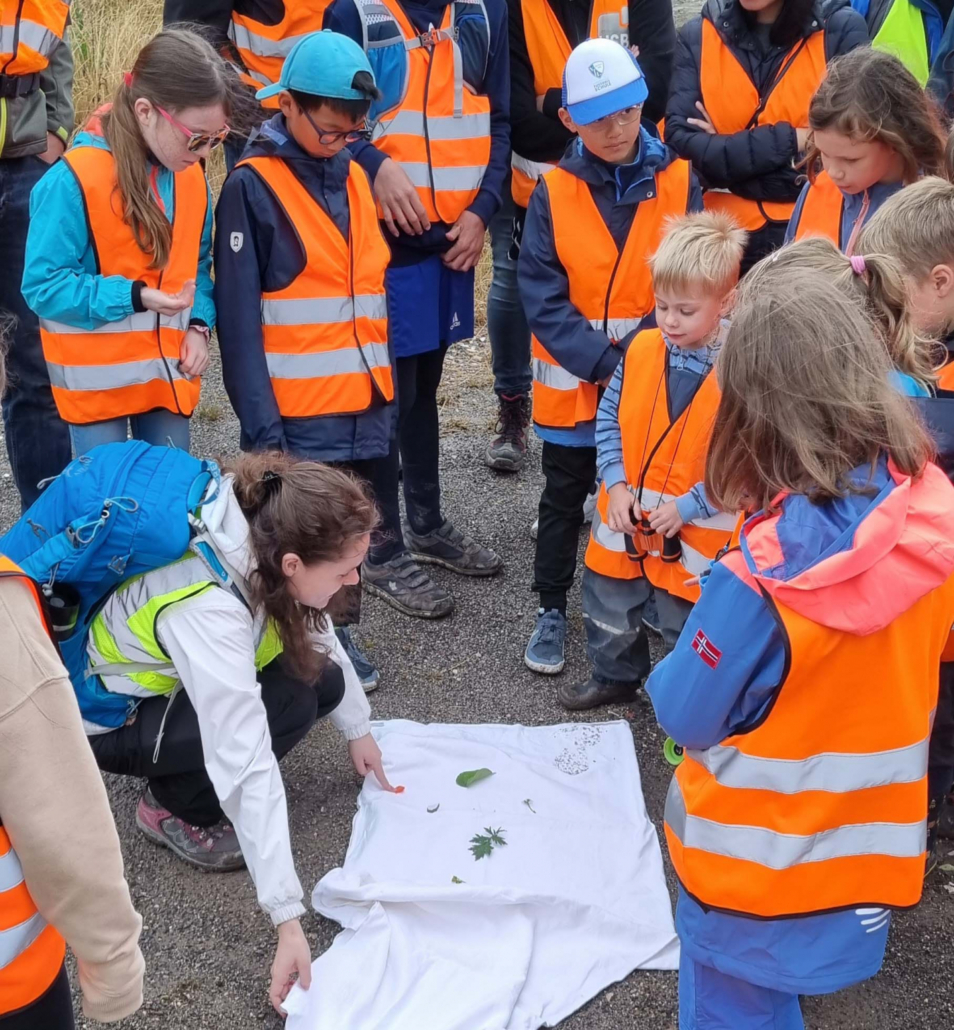 Kinder in orange gekleidet schauen sich pflanzen und Kleintiere an, die ihnen gezeigt werden