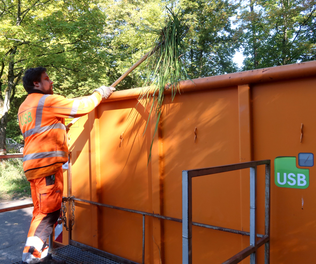 Ein Mitarbeiter wirft Grünschnitt in einen Orangenen Container mit dem USB Logo