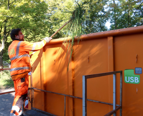 Ein Mitarbeiter wirft Grünschnitt in einen Orangenen Container mit dem USB Logo
