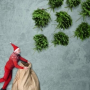 Ein weihnachtlich gekleideter Mann hält einen Sack auf wo Tannenbäume hinein fliegen
