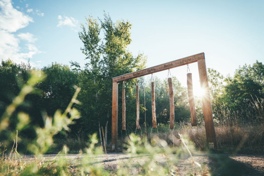 an einem Holzgerüst hängen 5 Holz Stämme im Hintergrund sind Bäume
