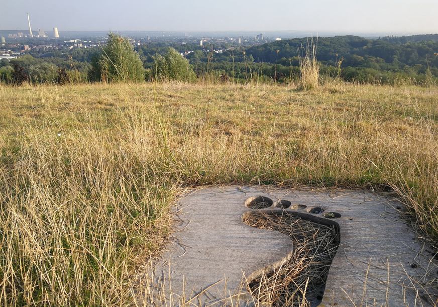 Großer Fußabdruck in einem Grasfeld