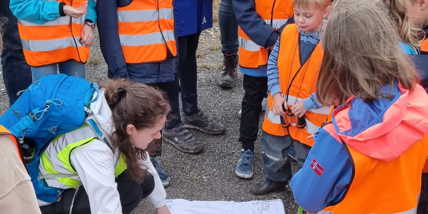 Kinder stehen um ein weißes Laken herum. auf dem Laken befinden sich Blätter. eine Frau mit Rucksack hockt daneben