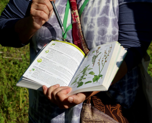 Eine ältere Dame zeigt auf ein Buch mit Kräutern
