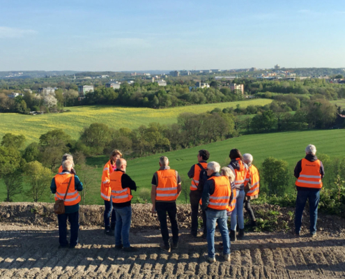 Orange gekleidete Menschen schauen auf eine Grünfläche