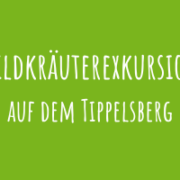 Zu Wildkräuterexkursion auf dem Tippelsberg