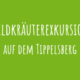 Zu Wildkräuterexkursion auf dem Tippelsberg
