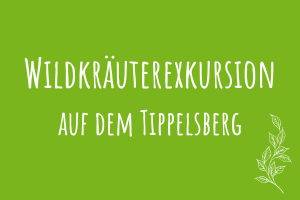 Zu Wildkräuterexkursion auf dem Tippelsberg